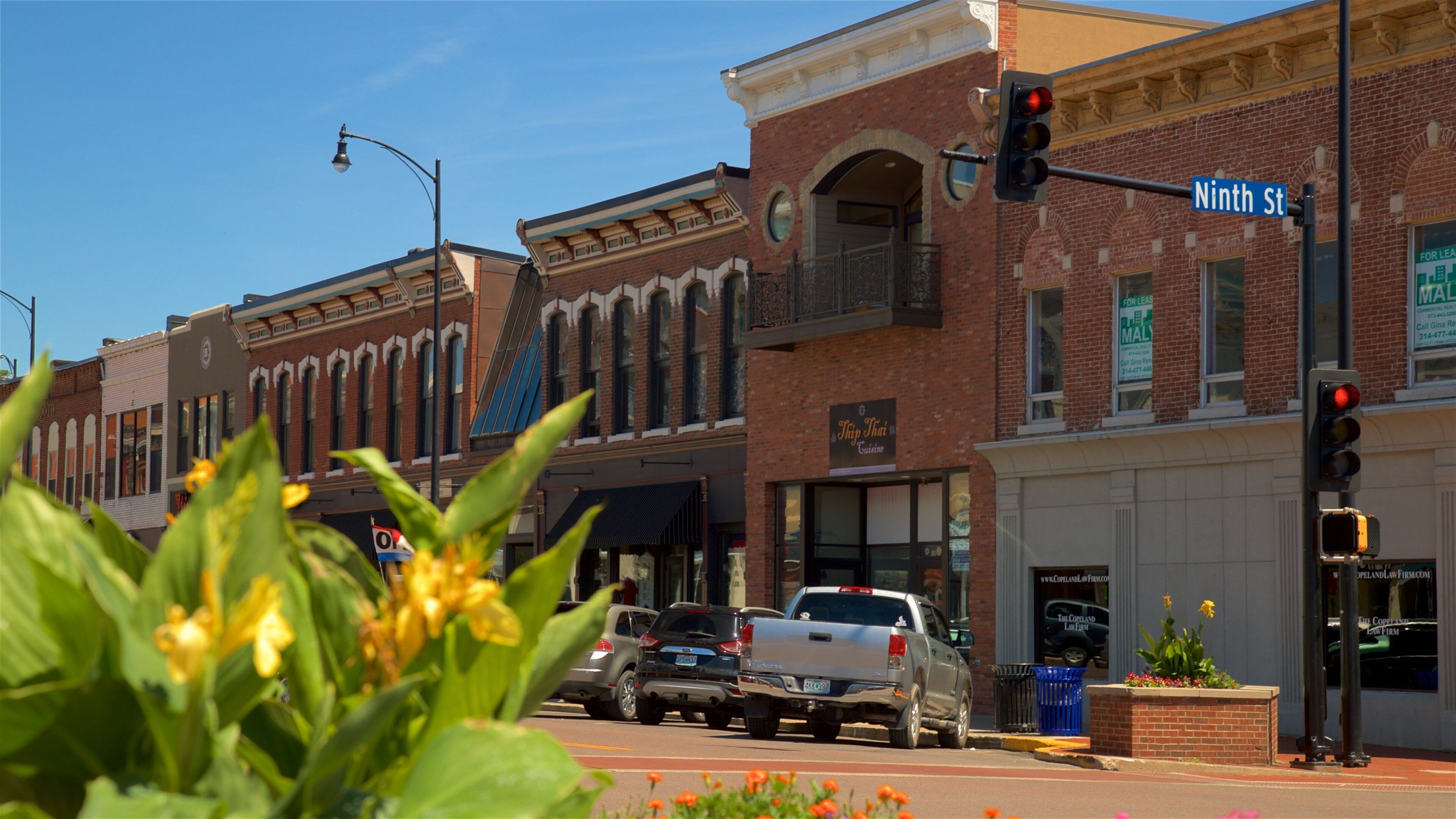 Columbia som viser villblomster