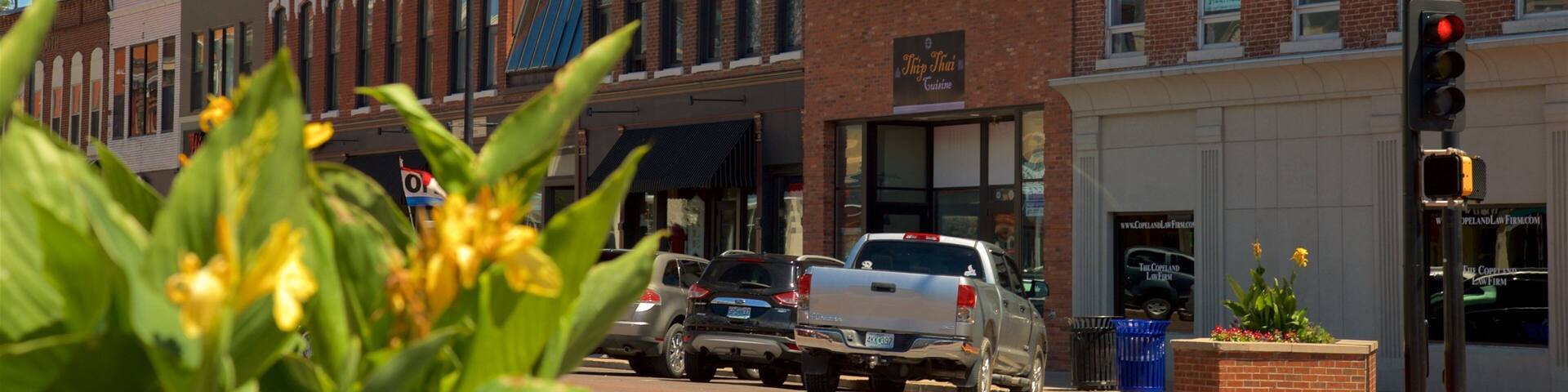 Columbia featuring wildflowers