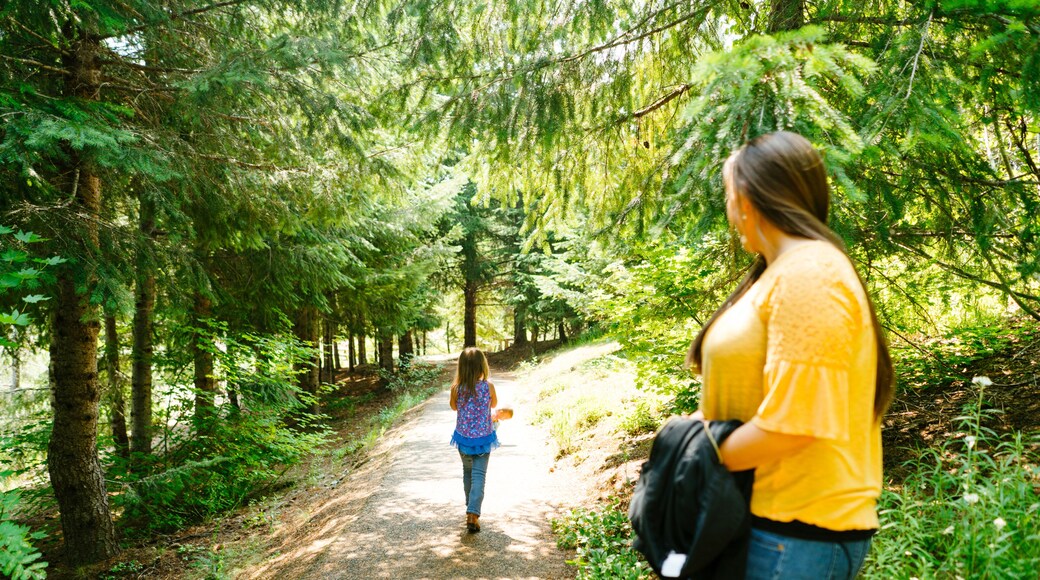 Rear view of a mother and daughter hiking on a trail
