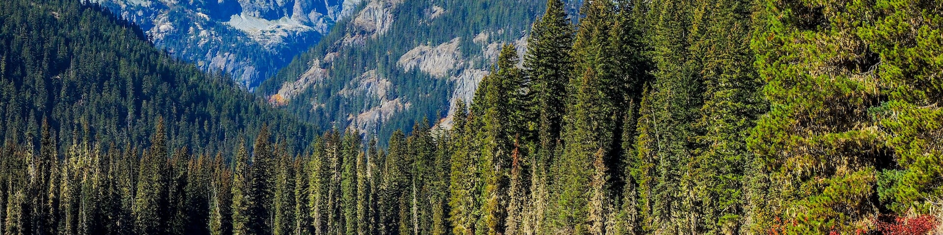 USA, Washington State, Cle Elum, Kittitas County. Red canoe on Cooper Lake.