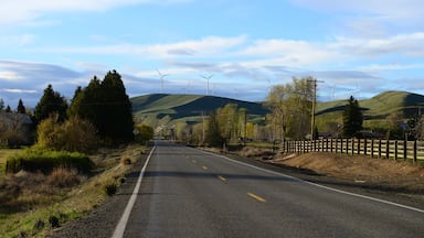 This is SR 10 between Ellensburg and Cle Elum Washington. It is old US 10 that was the predecessor to I-90 through this area. Up on teh hill ahead is the Kittitas Valley Wind Farm.
#washingtonstate #history #travel #pnw