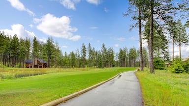Gold course trail with pine trees and homes after the rain