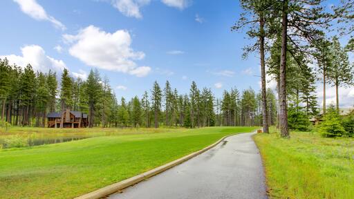Gold course trail with pine trees and homes after the rain