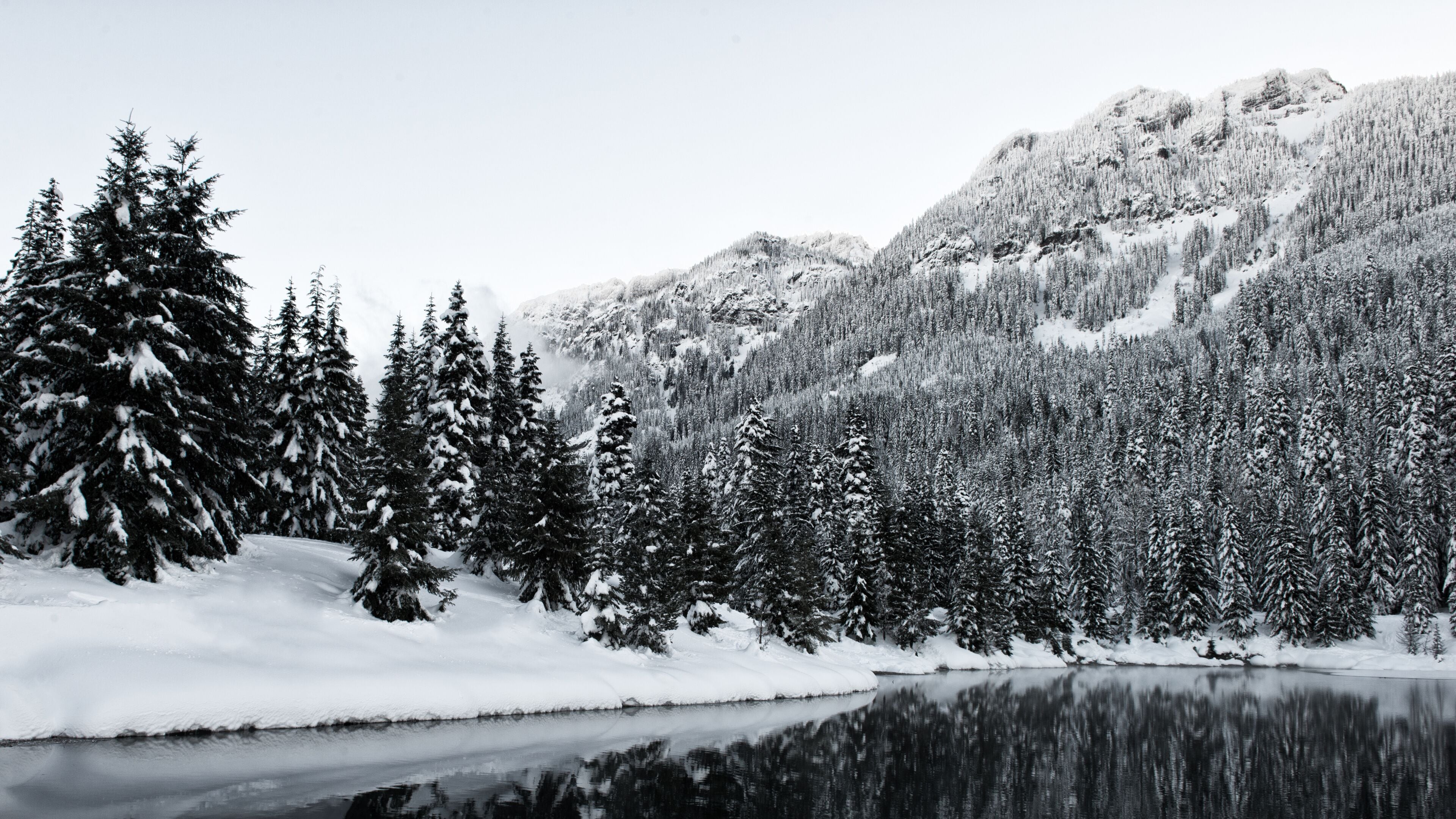 A Winter's Tale