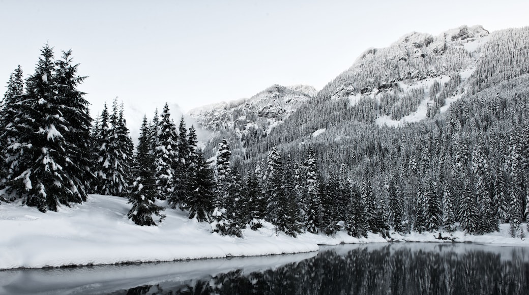 A Winter's Tale