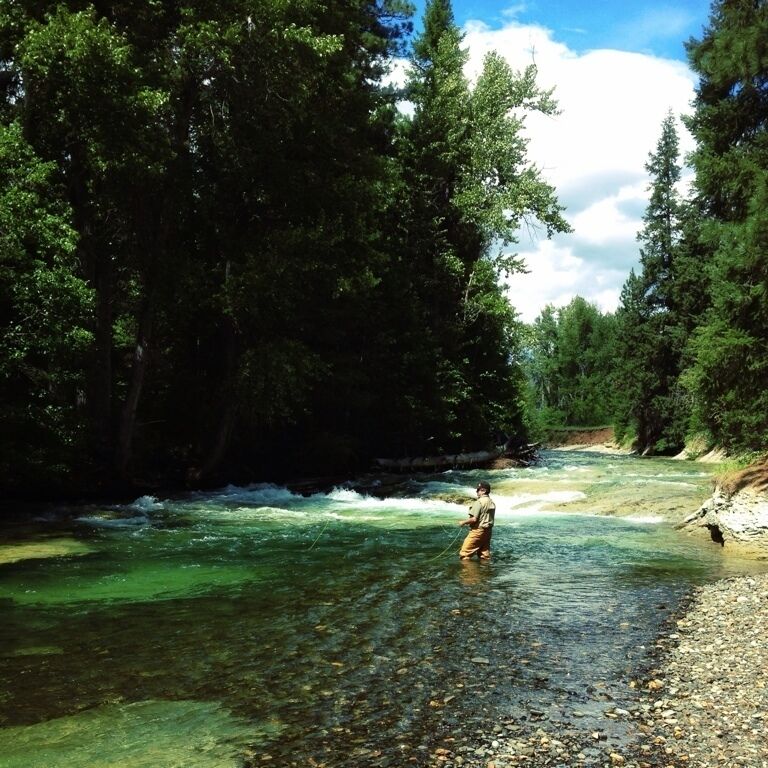 A river flowing through a forested area with a person standing in the water.