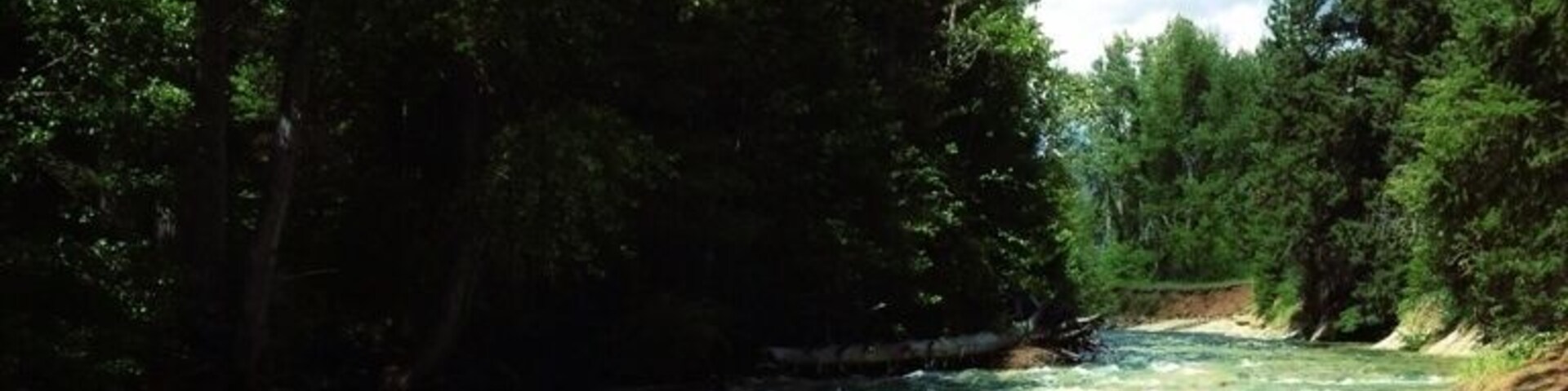 A river flowing through a forested area with a person standing in the water.