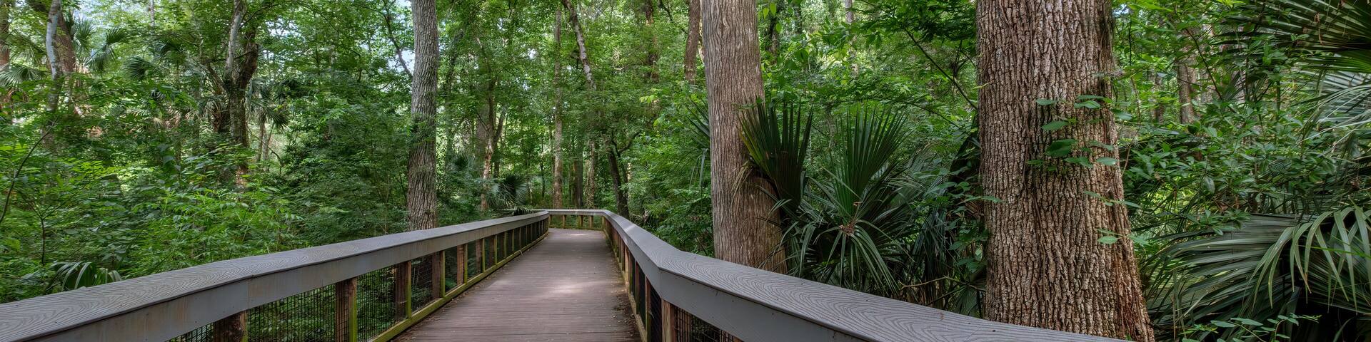 Boardwalk Trail at Silver Springs State Park, Florida
