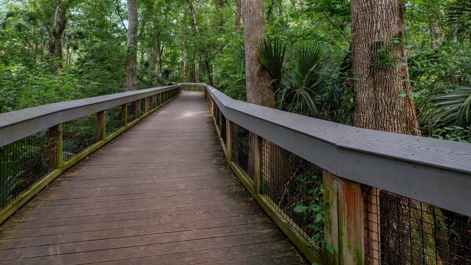 Boardwalk Trail at Silver Springs State Park, Florida