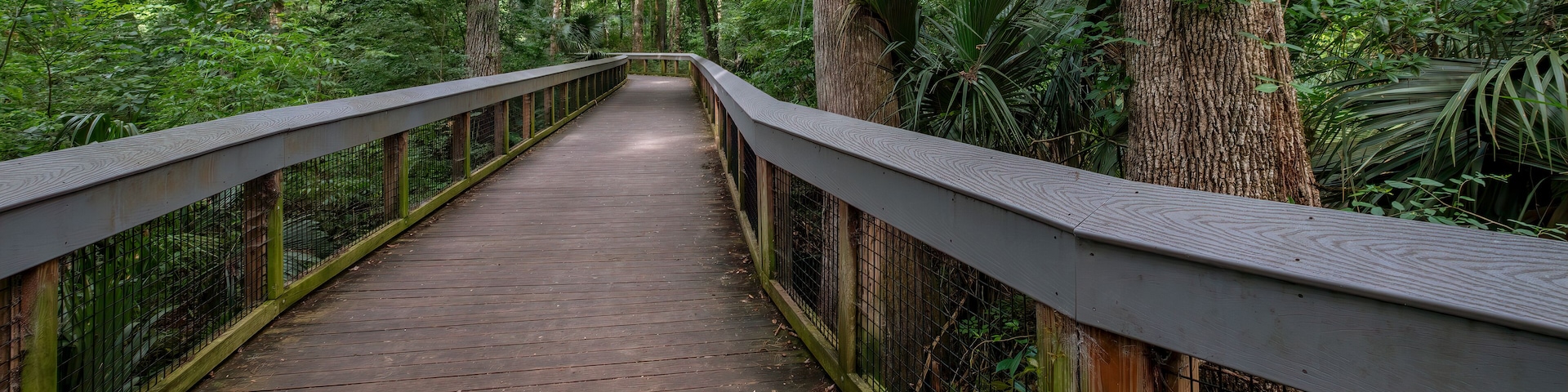 Boardwalk Trail at Silver Springs State Park, Florida