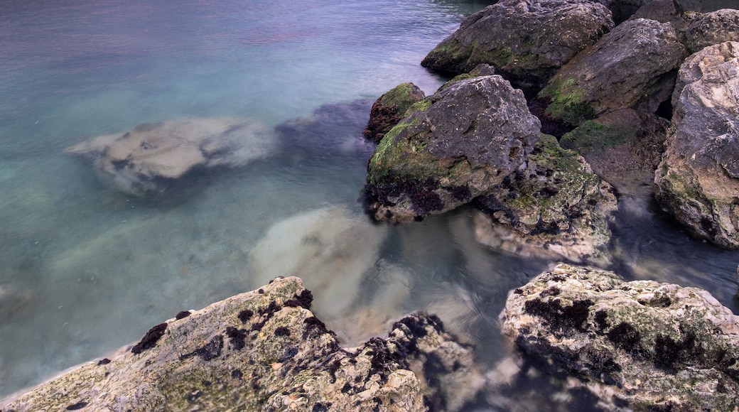 Early in the morning, before sunrise.