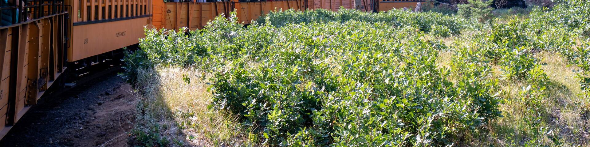 Durango and Silverton train