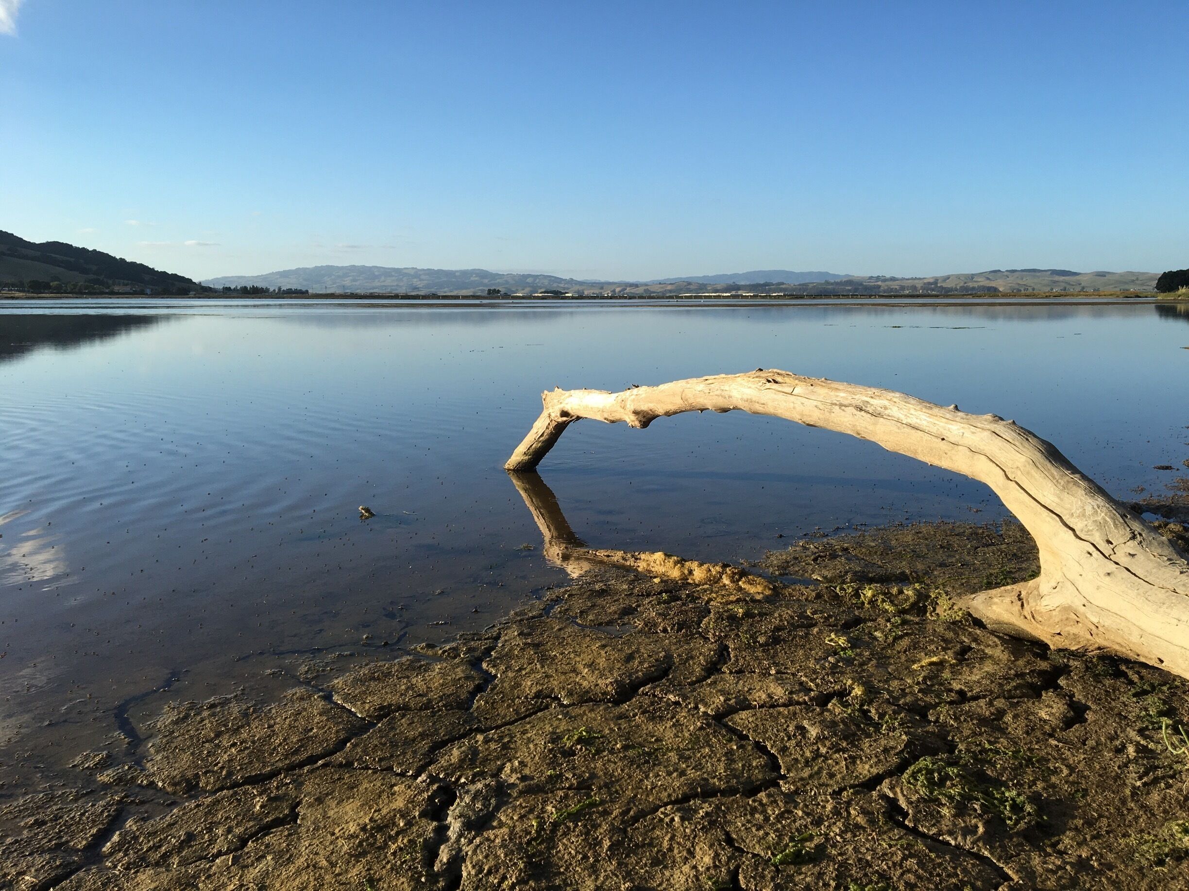 Rush Creek Open Space Preserve is an easy access open space park in Novato California. It has a beautiful tidal inlet with a large amount of sea birds and wildflowers. 
#Hiking #OpenSpace #California #MarshLands #BirdWatching #Water #Blue