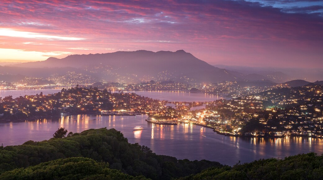 Novato