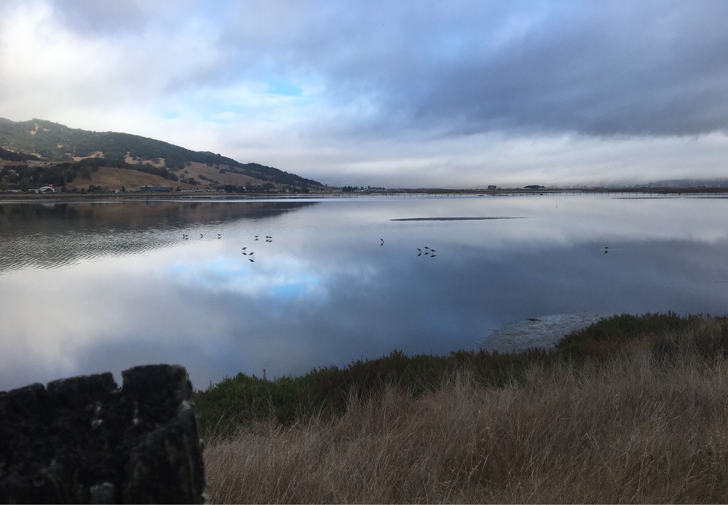 Morning walk with the fog slowly burning off. Starting to feel like fall. The black-necked stilts seem to walk on the water.
#HikingTheGlobe #Reflections
#OpenSpace