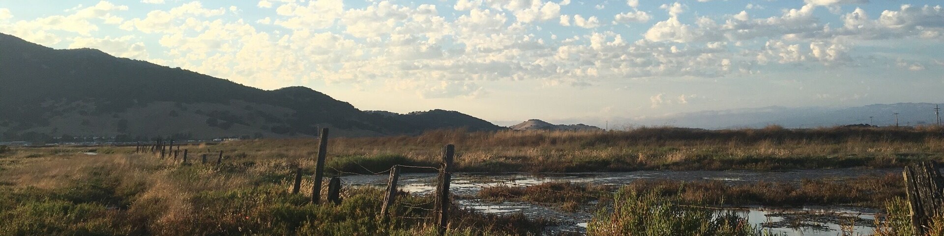 Beautiful evening at one of my favorite Open Space parks. So many birds and other wildlife
#GreenTravelPhotos #HikeTheGlobe
#OpenSpace