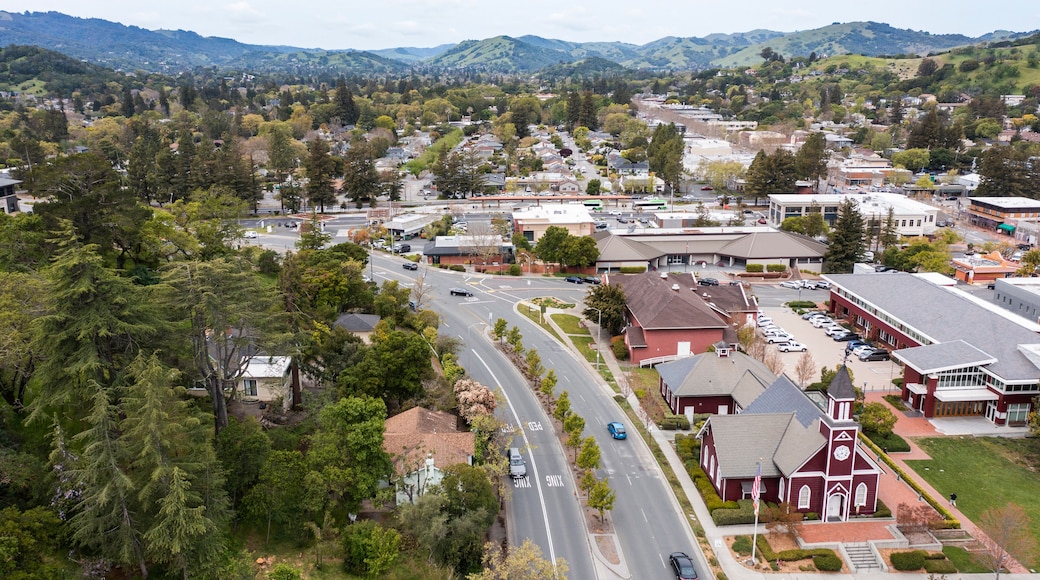 Novato