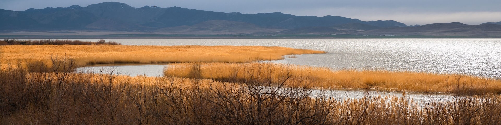 Golden Shores of Utah Lake