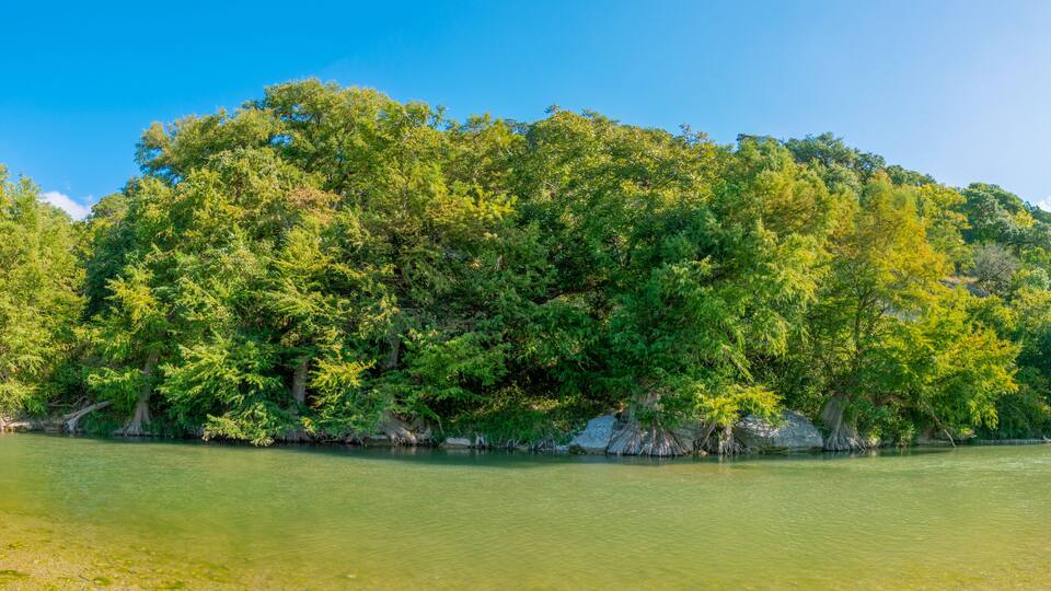 Guadalupe river