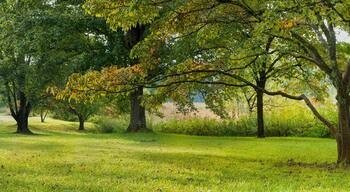 ๋ ๋ฉ๋์ฐ์ค