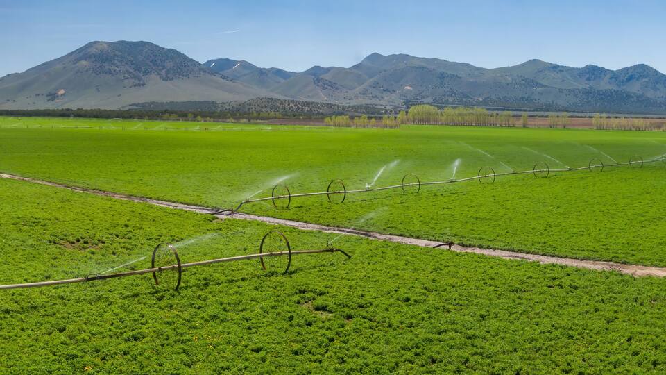 A lush green field with irrigation systems and mountains in the background.