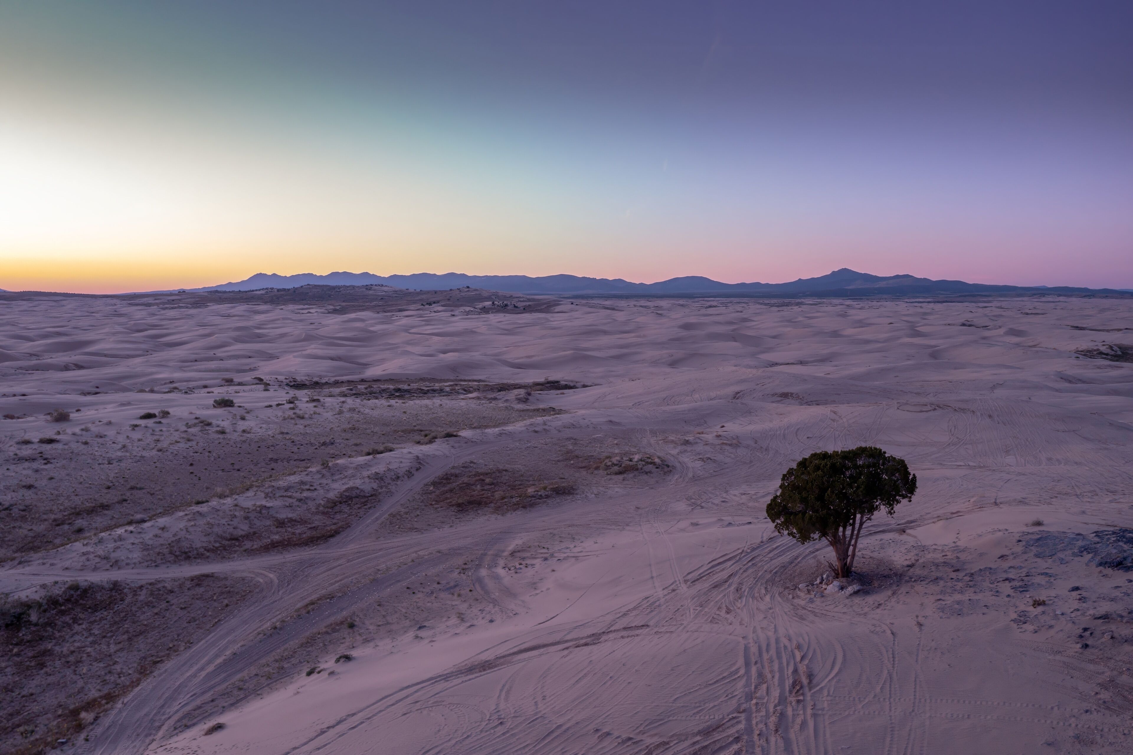 A desert landscape with sand dunes, a solitary tree, and distant mountains under a twilight sky.