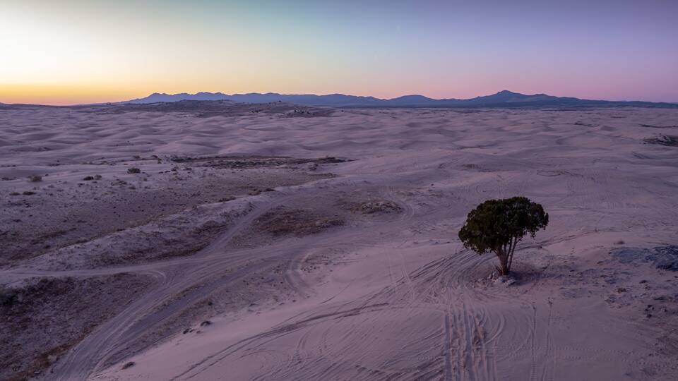A desert landscape with sand dunes, a solitary tree, and distant mountains under a twilight sky.