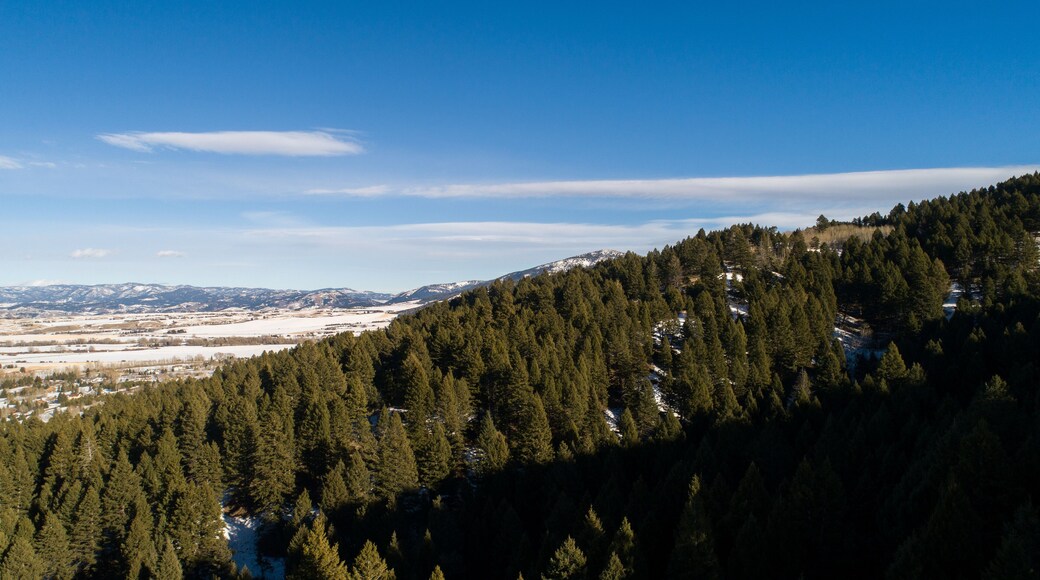 Bozeman, Montana, Kirk's Hill Mountain