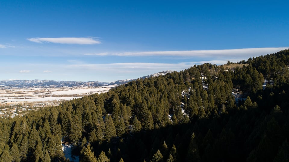 Top 10 Hotels in Bozeman, MT (from $114) 2026 - Competitive Prices ...