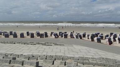 A beach with rows of striped beach chairs and a stone walkway leading to the sea.