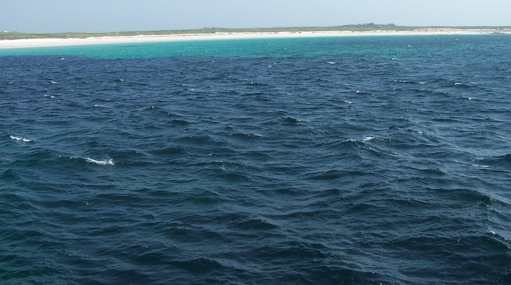 The Beach at South Bay As the ferry approaches the pier on N Ronladsay this is the view of South Bay.