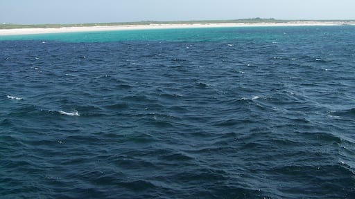 The Beach at South Bay As the ferry approaches the pier on N Ronladsay this is the view of South Bay.