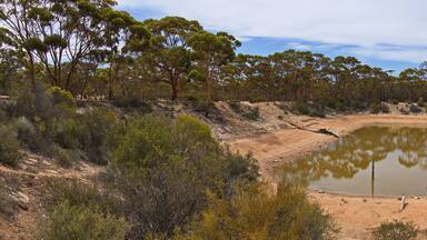 Bromus dam at Norseman, Western Australia, Australia
