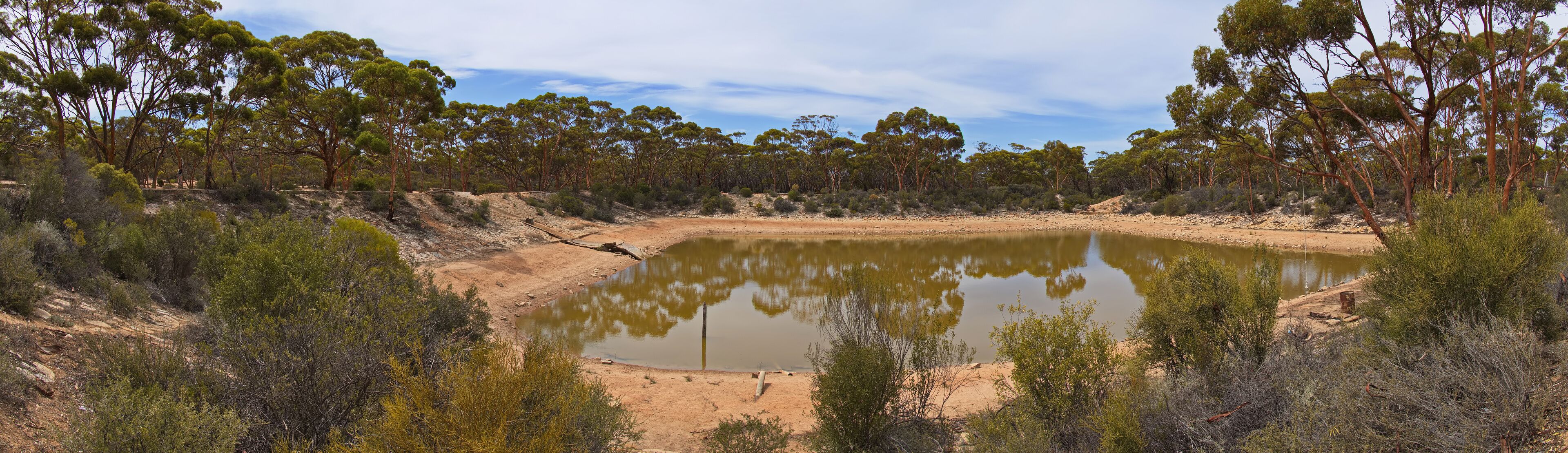 A dry lake with sparse vegetation and trees in the background.