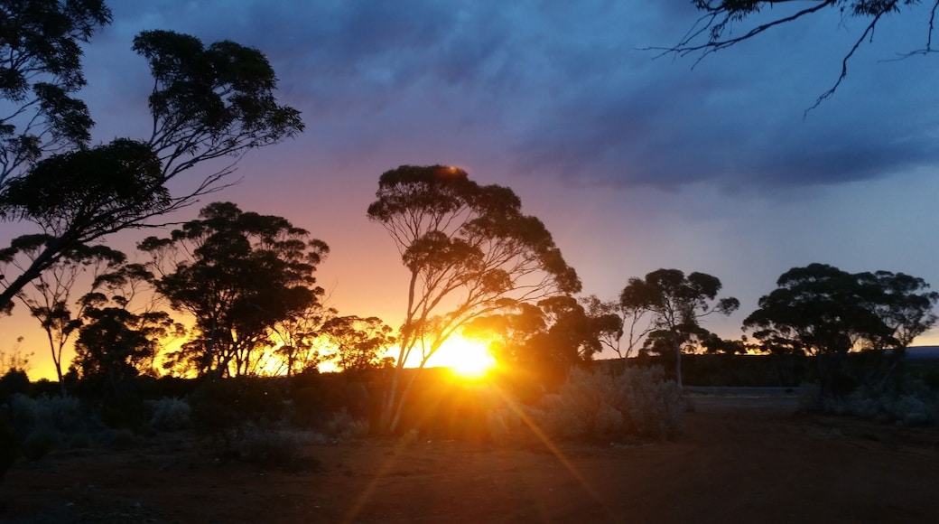 Last night a spendidly stormy sunset through the mallee scrub just outside Norseman Western Australia on the edge of the Nullarbor plain. Locals were excited by the first rain they've had in almost a year.