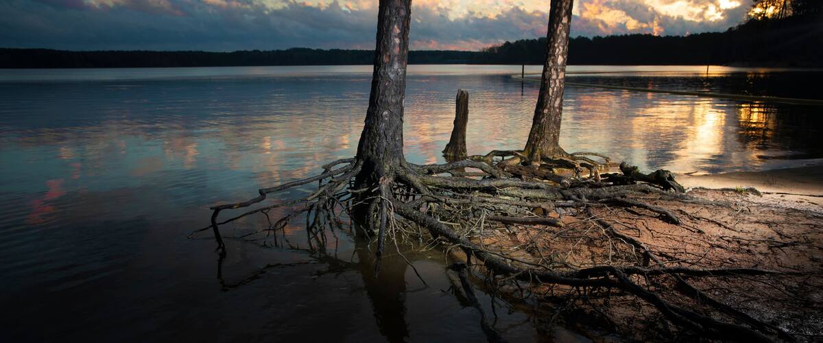 A sunset over a calm lake with two prominent trees in the foreground.