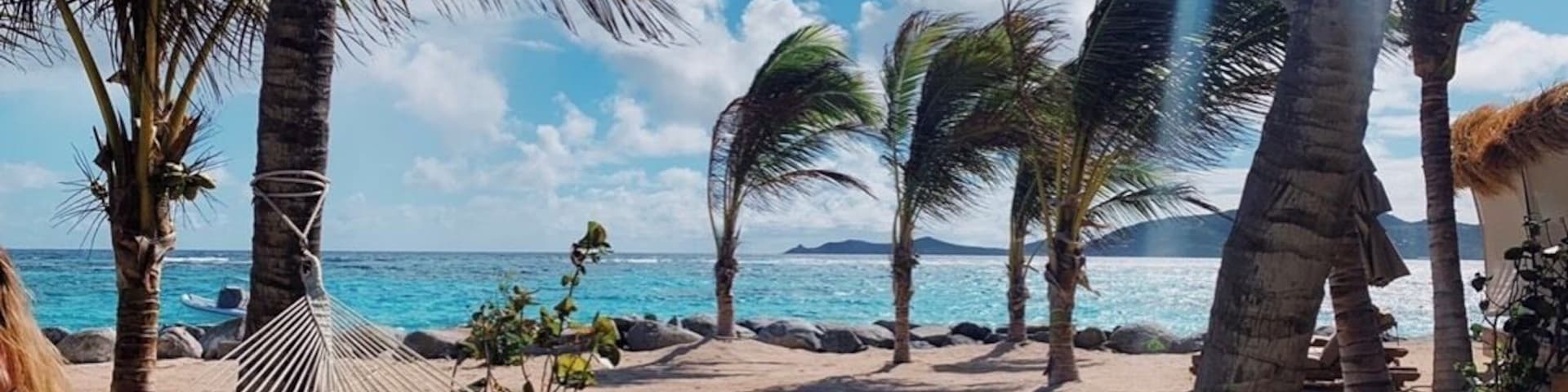 Una playa con palmeras y una hamaca.