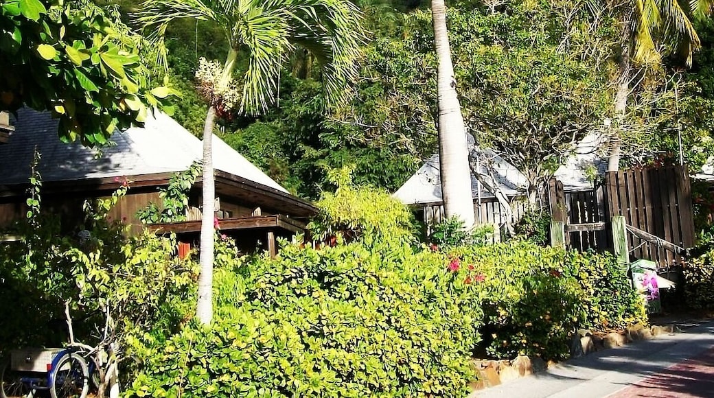 A walk at the Bitter End...BVI