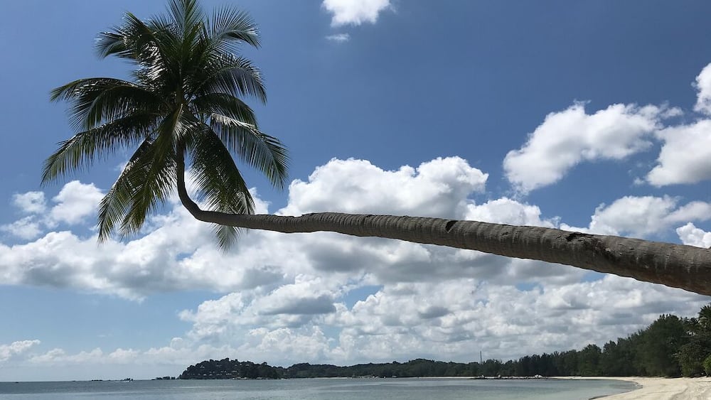 #Beach #Bintan #Indonesia #Jun2018 #iPhone7 #LifeAtExpedia