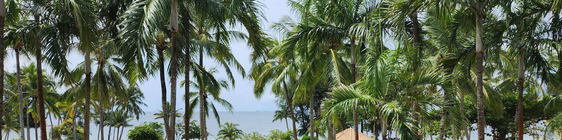 Tropical beach with palm trees at Bintan Island, Indonesia