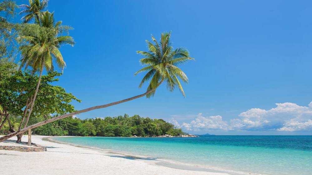 A beach with white sand, turquoise water, and palm trees.