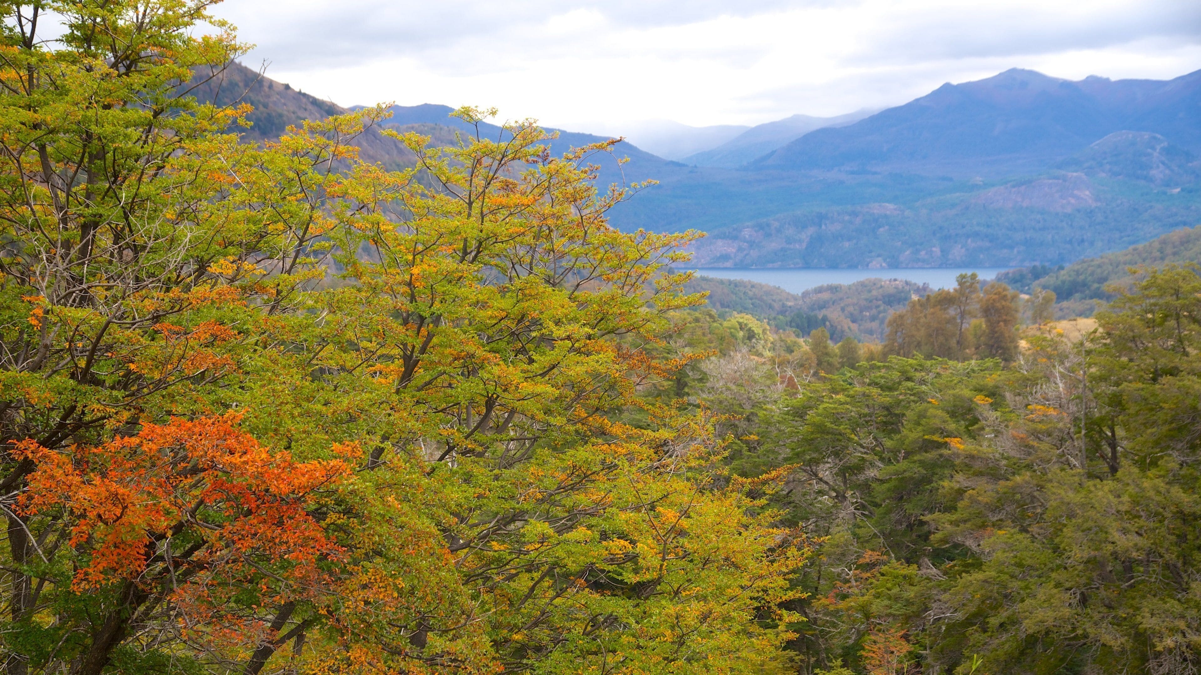 A mountainous landscape with autumn foliage.