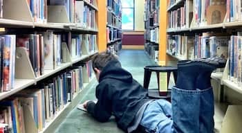 One of the best public libraries in Silicon Valley.