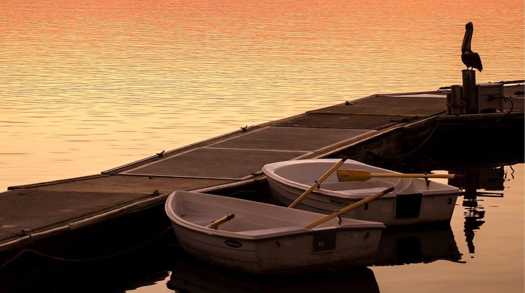 Nice place to hike trails or just sit and take in the scenery!