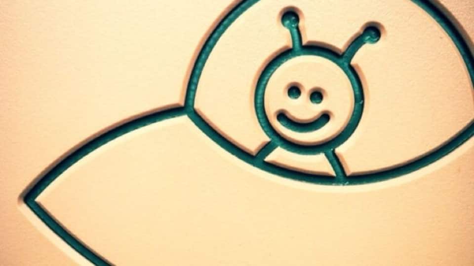 Alien invading the play structure.