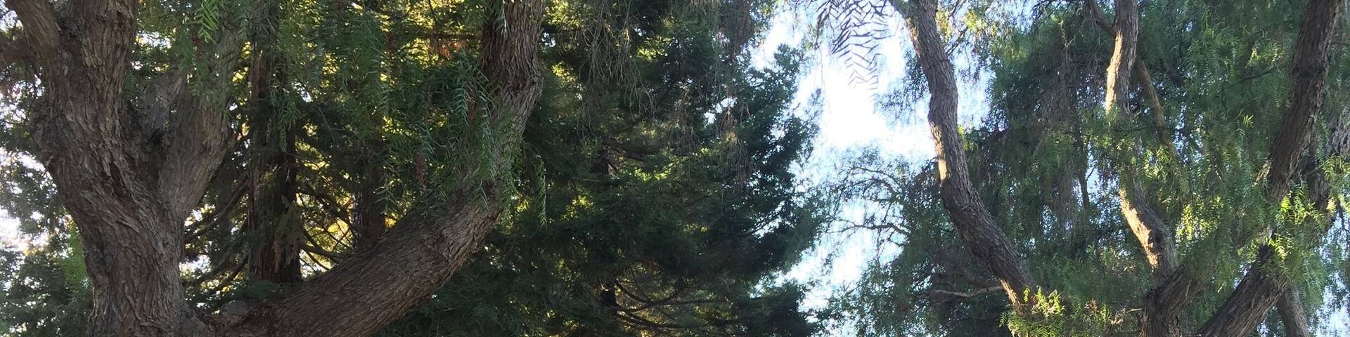 Googleplex. Mountain View, CA. November 7, 2015.