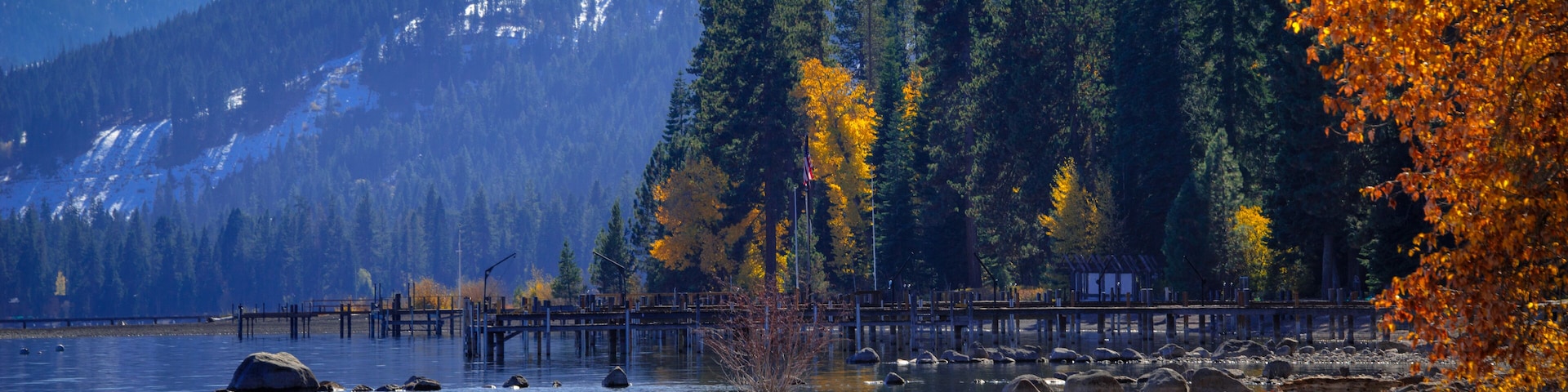 Trees in a forest at the lakeside, Lake Tahoe, California, USA, Shutterstock ID 170806223, purchase_order: SP-1269 HA 2018 Batch 1, Order: , client: , other: