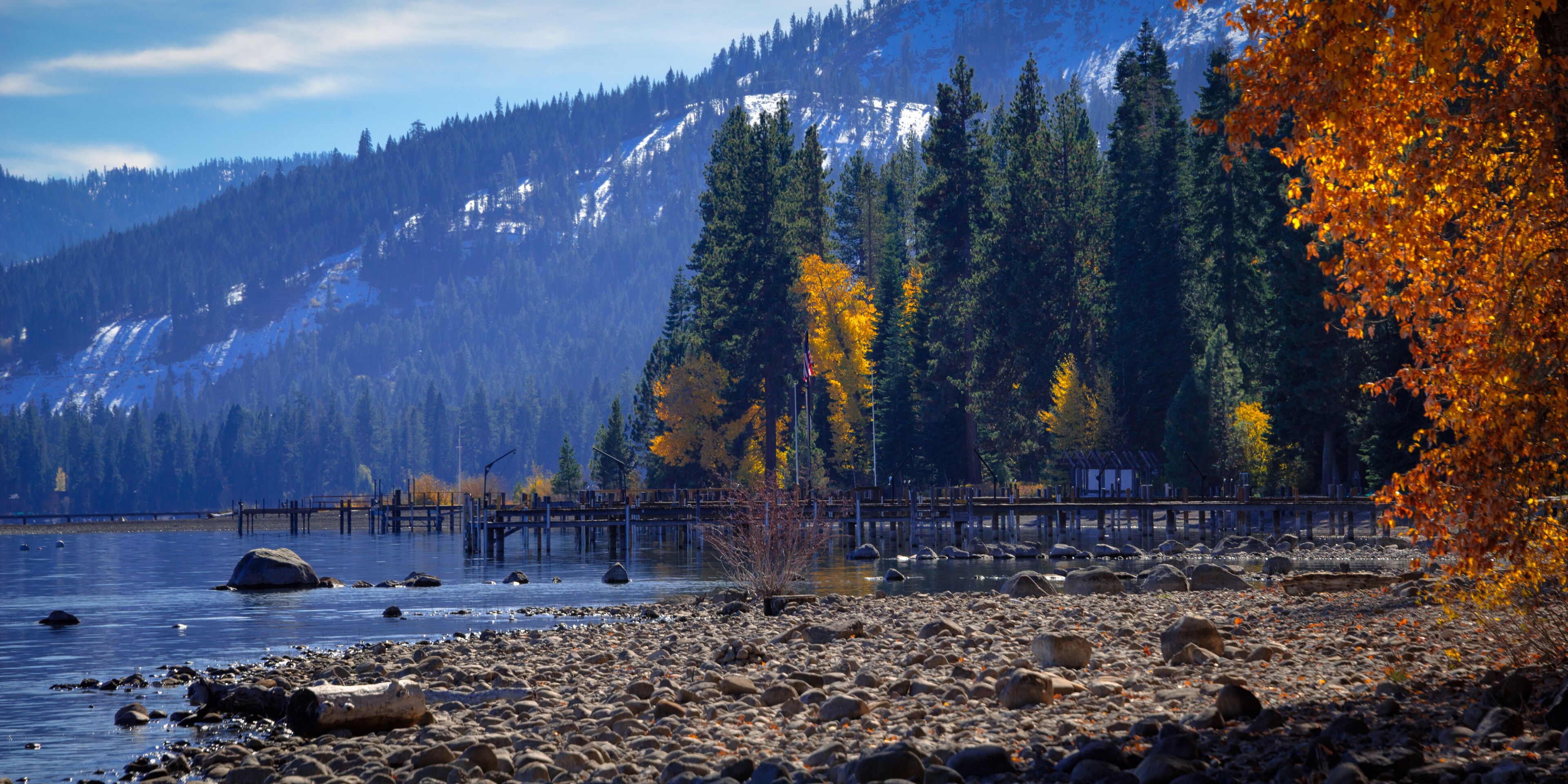 Trees in a forest at the lakeside, Lake Tahoe, California, USA, Shutterstock ID 170806223, purchase_order: SP-1269 HA 2018 Batch 1, Order: , client: , other: