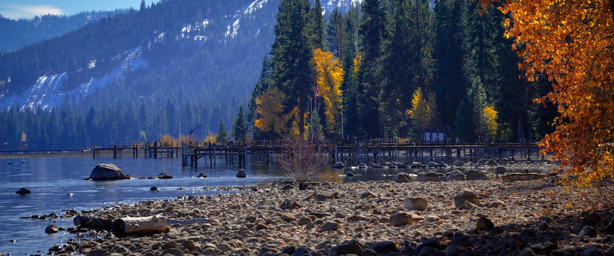 Trees in a forest at the lakeside, Lake Tahoe, California, USA, Shutterstock ID 170806223, purchase_order: SP-1269 HA 2018 Batch 1, Order: , client: , other: