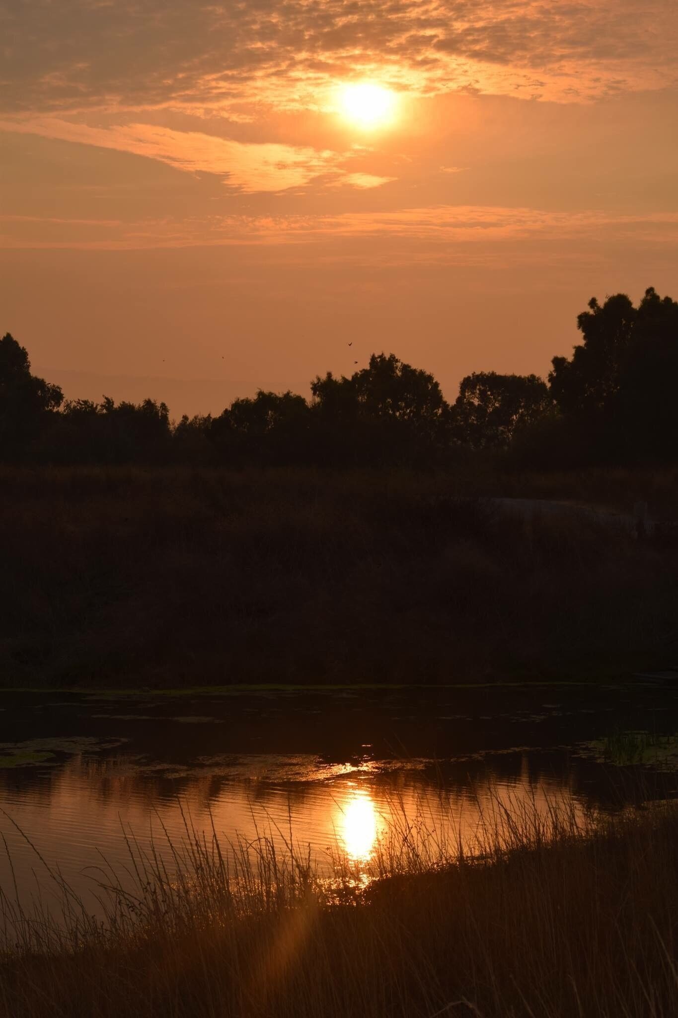 #Reflections